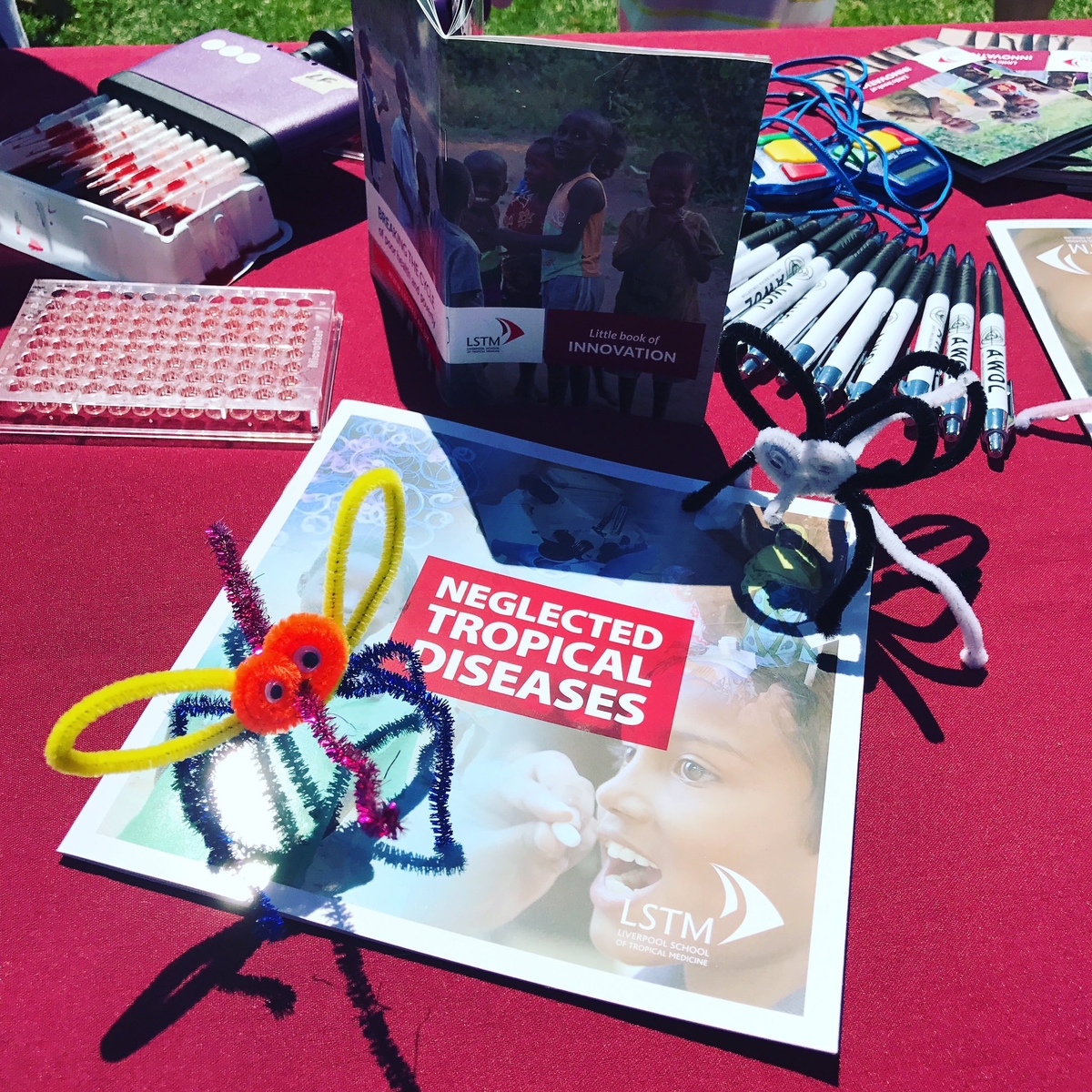 Public Engagement at Africa Oye Festival - Speed Pipette/Beat The Robot Challenge