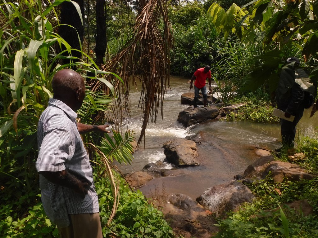On the hunt for Simulium larvae South West Cameroon - Dr Louise Hamill
